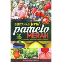 Image of Bertanam Jeruk Pamelo Merah.