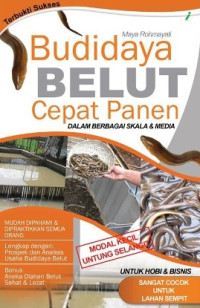 Image of BUDIDAYA BELUT CEPAT PANEN
